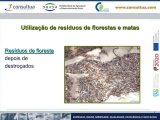 Utilização de resíduos de florestas e matas
Resíduos de floresta
depois de
destroçados
 