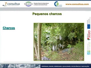 Pequenos charcos
Charcos
 