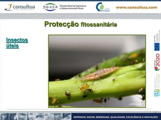 Protecção fitossanitária
Insectos
úteis
 