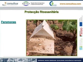 Protecção fitossanitária
Feromonas
 