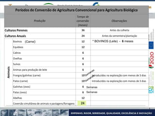 (Carne) * BOVINOS (Leite) - 6 meses
Semanas
Semanas
 