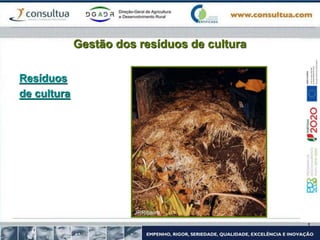 Gestão dos resíduos de cultura
Resíduos
de cultura
 