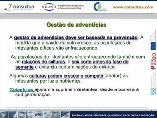 Gestão de adventícias
A gestão de adventícias deve ser baseada na prevenção. À
medida que a saúde do solo cresce, as populações de
infestantes difíceis vão enfraquecendo.
As populações de infestantes vão enfraquecendo também com
as rotações de culturas, o seu corte antes da fase de
semente e evitando contaminações do exterior.
Algumas culturas podem crescer e competir (abafar) as
infestantes por luz e nutrientes.
Coberturas ajudam a suprimir infestantes, desde a barreira à
sua germinação.
 