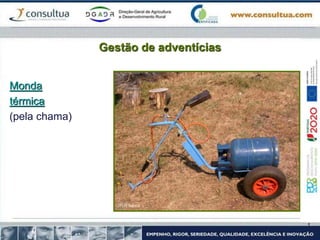 Gestão de adventícias
Monda
térmica
(pela chama)
 