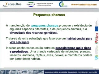 Pequenos charcos
A manutenção de pequenos charcos promove a existência de
algumas espécies diferentes, e de pequenos animais, e a
diversidade dos recursos genéticos.
Trata-se de uma estratégia que favorece um habitat crucial para
vida selvagem.
Incultos encharcados estão entre os ecossistemas mais ricos
e produtivos. Uma grande variedade de micróbios, plantas,
insectos, anfíbeos, répteis, aves, peixes, e mamíferos podem
ser parte deste habitat.
 