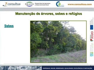 Manutenção de árvores, sebes e refúgios
Sebes
 