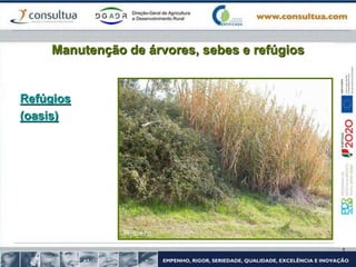 Manutenção de árvores, sebes e refúgios
Refúgios
(oasis)
 
