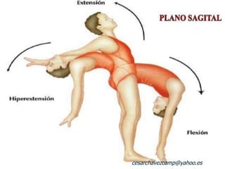 cesarchavezcamp@yahoo.es
 