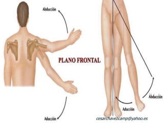 cesarchavezcamp@yahoo.es
 