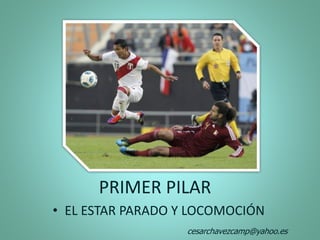 PRIMER PILAR
• EL ESTAR PARADO Y LOCOMOCIÓN
cesarchavezcamp@yahoo.es
 