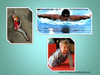 cesarchavezcamp@yahoo.es
 