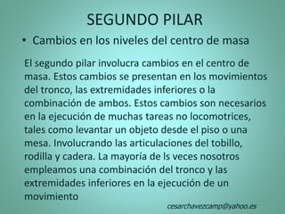 El segundo pilar involucra cambios en el centro de
masa. Estos cambios se presentan en los movimientos
del tronco, las extremidades inferiores o la
combinación de ambos. Estos cambios son necesarios
en la ejecución de muchas tareas no locomotrices,
tales como levantar un objeto desde el piso o una
mesa. Involucrando las articulaciones del tobillo,
rodilla y cadera. La mayoría de ls veces nosotros
empleamos una combinación del tronco y las
extremidades inferiores en la ejecución de un
movimiento
SEGUNDO PILAR
• Cambios en los niveles del centro de masa
cesarchavezcamp@yahoo.es
 
