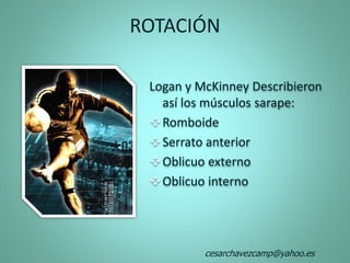 ROTACIÓN
Logan y McKinney Describieron
así los músculos sarape:
Romboide
Serrato anterior
Oblicuo externo
Oblicuo interno
cesarchavezcamp@yahoo.es
 