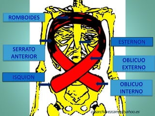 cesarchavezcamp@yahoo.es
 