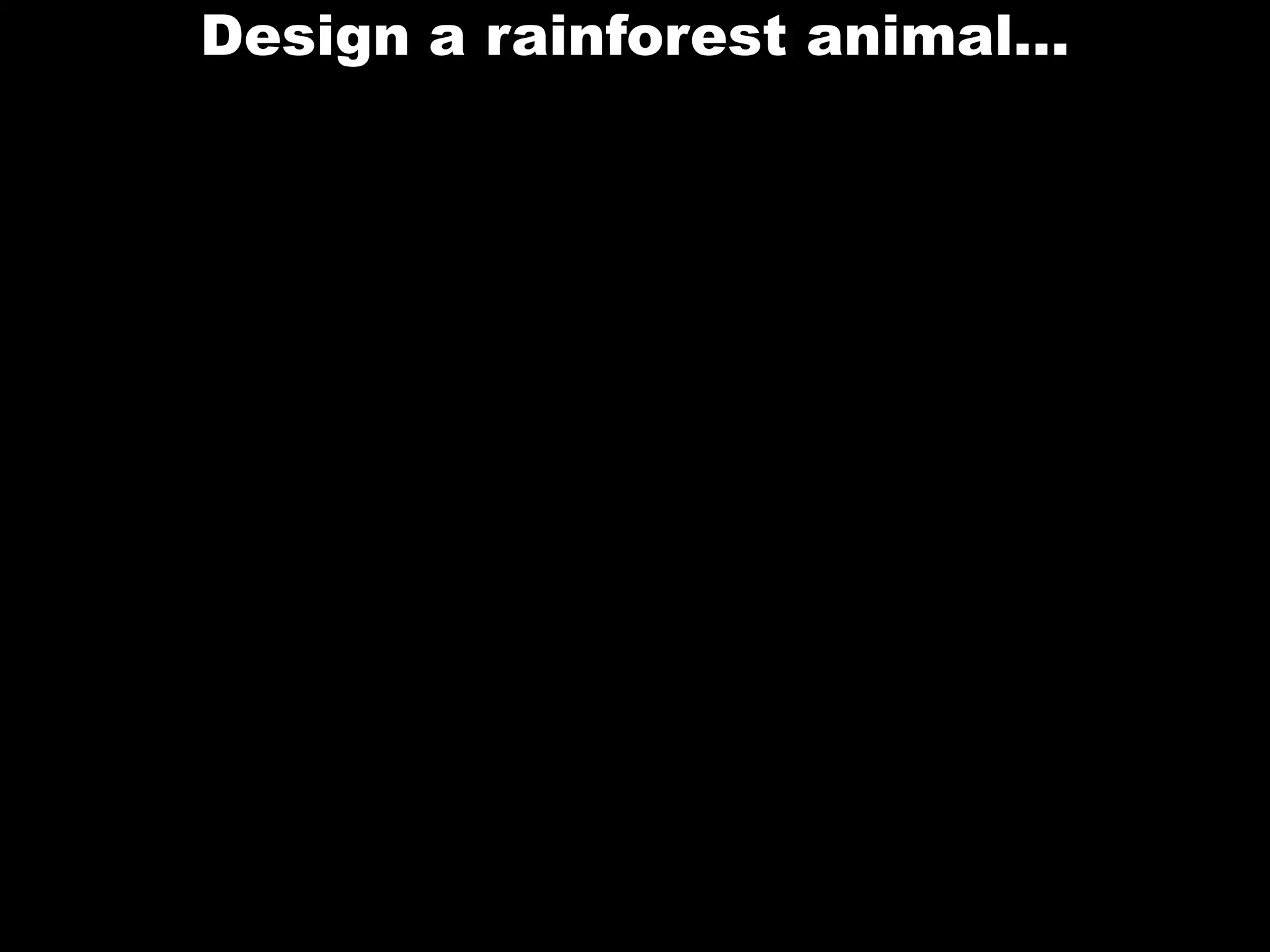 Design a rainforest animal…