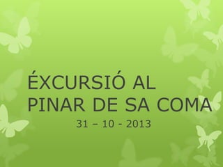 ÉXCURSIÓ AL
PINAR DE SA COMA
31 – 10 - 2013

 
