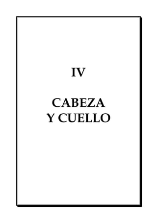 IV
CABEZA
Y CUELLO
 