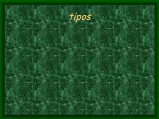 tipos 