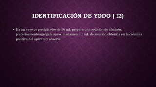 IDENTIFICACIÓN DE YODO ( I2)
• En un vaso de precipitados de 50 mL prepara una solución de almidón,
posteriormente agrégale aproximadamente 1 mL de solución obtenida en la columna
positiva del aparato y observa.
 