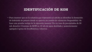 IDENTIFICACIÓN DE KOH
• Para mostrar que en la columna que representa al cátodo se identifica la formación
de hidróxido de potasio donde se aprecia un cambio de coloración (bugambilia). Se
hace una prueba testigo de la siguiente manera: En un vaso de precipitados de 50
mL disuelve 2 lentejas de KOH en 10 mL de agua destilada y posteriormente
agrégale 2 gotas de fenolftaleína y observa.
 