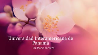 Universidad Interamericana de
Panamá
Liz Marie cordero
 