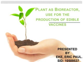 PLANT AS BIOREACTOR,
USE FOR THE
PRODUCTION OF EDIBLE
VACCINES
PRESENTED
BY
EKE, ERIC PAUL.
SID: 10509537
 