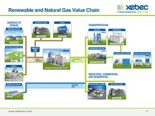Xebec Biogas 2010 Presentation