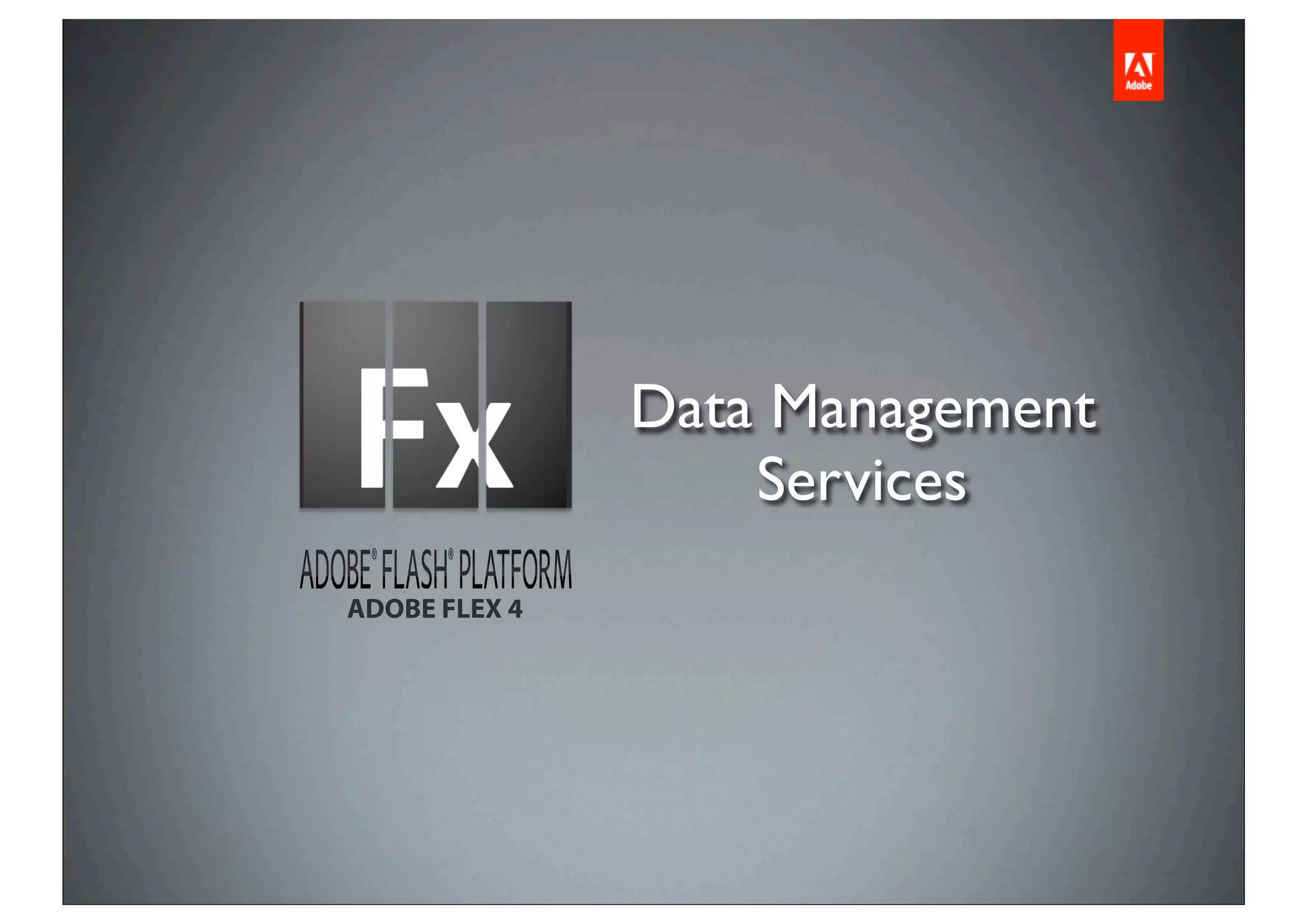 Data Management
                   Services
ADOBE FLEX 4
 