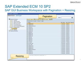 SAP Extended ECM 10
Support Package 2
SAP GUI Business Workspace with Pagination
and Resizing in SAP ERP




             ...