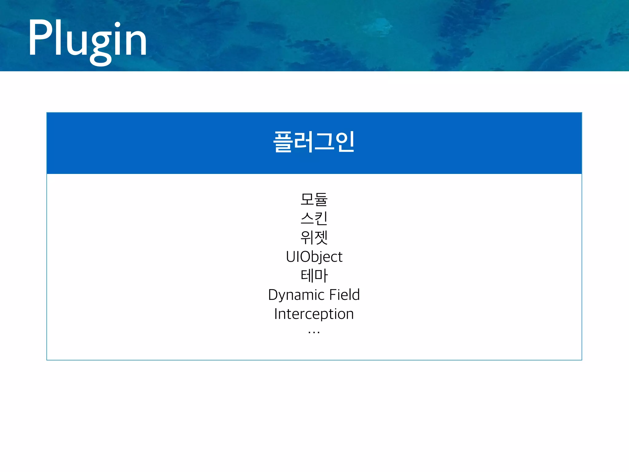 Plugin
플러그인
모듈
스킨
위젯
UIObject
테마
Dynamic Field
Interception
…
 