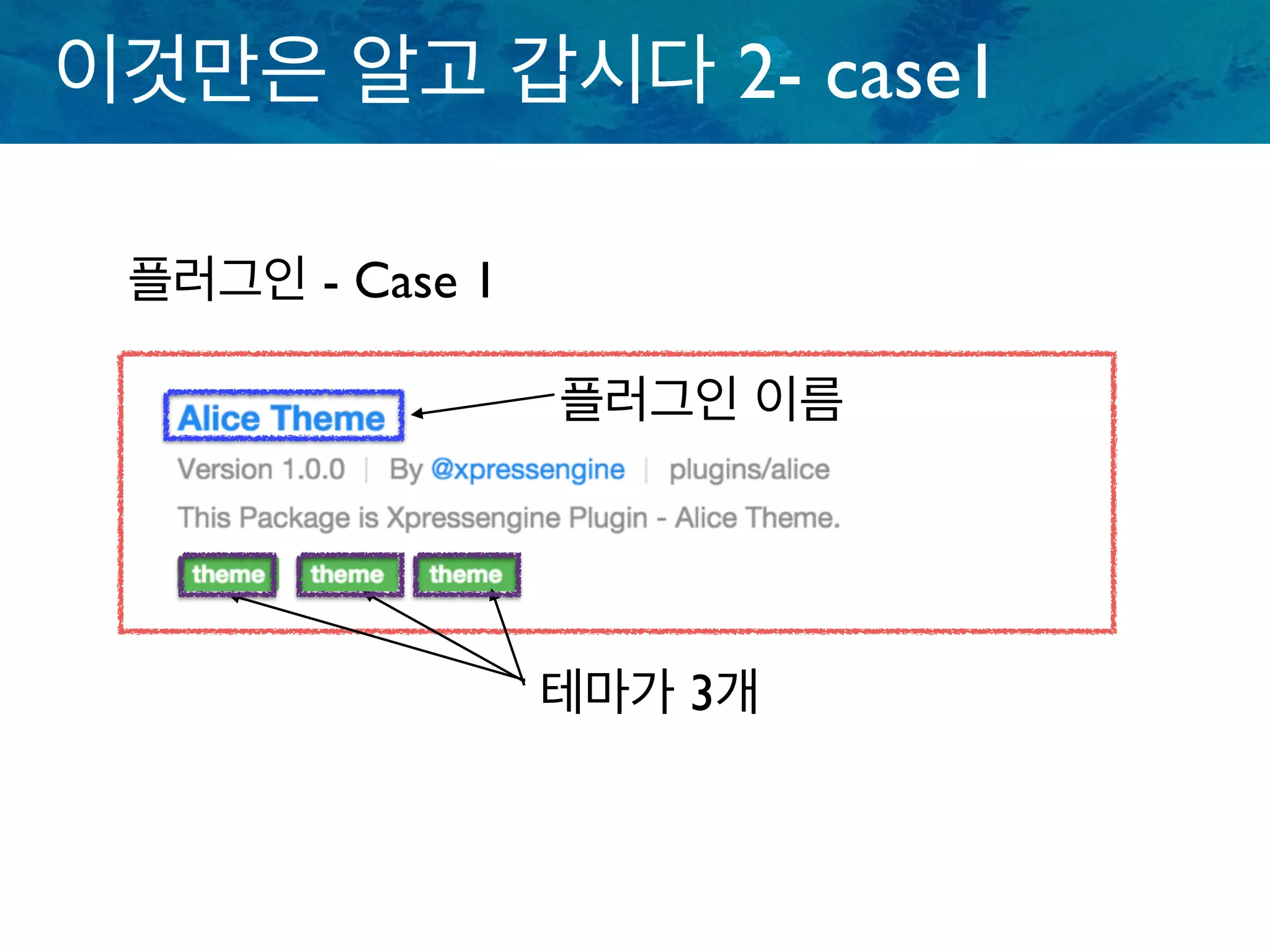 이것만은 알고 갑시다 2- case1
플러그인 - Case 1
테마가 3개
플러그인 이름
 