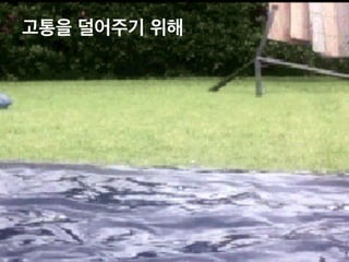 고통을 덜어주기 위해 
 