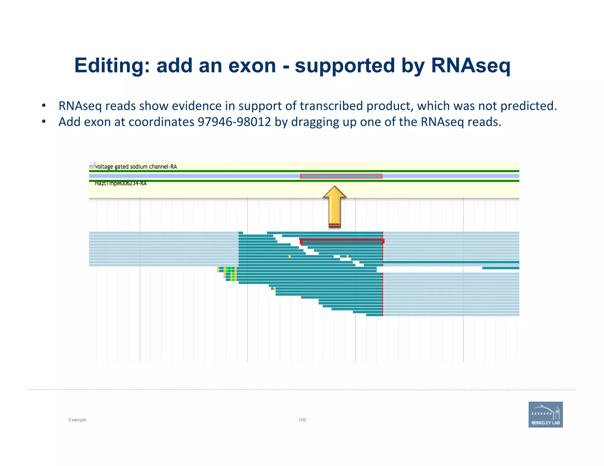 Editing: add an exon - supported by RNAseq
Example 100
•  RNAseq	
  reads	
  show	
  evidence	
  in	
  support	
  of	
  transcribed	
  product,	
  which	
  was	
  not	
  predicted.	
  
•  Add	
  exon	
  at	
  coordinates	
  97946-­‐98012	
  by	
  dragging	
  up	
  one	
  of	
  the	
  RNAseq	
  reads.	
  
 