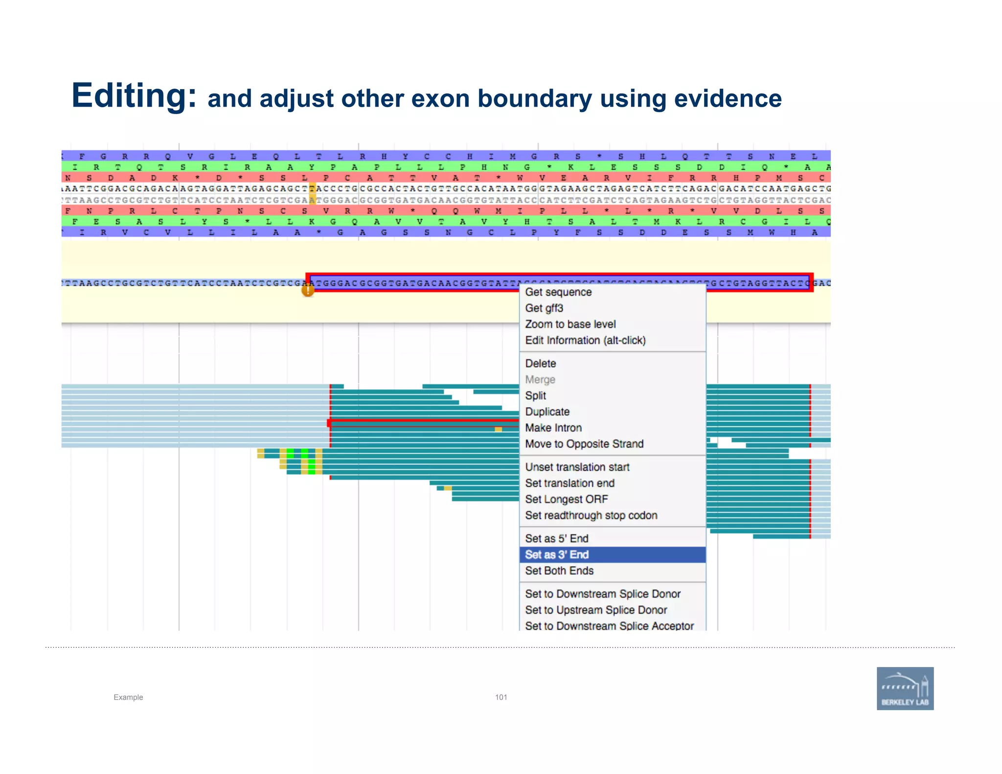 Editing: and adjust other exon boundary using evidence
Example 101
 