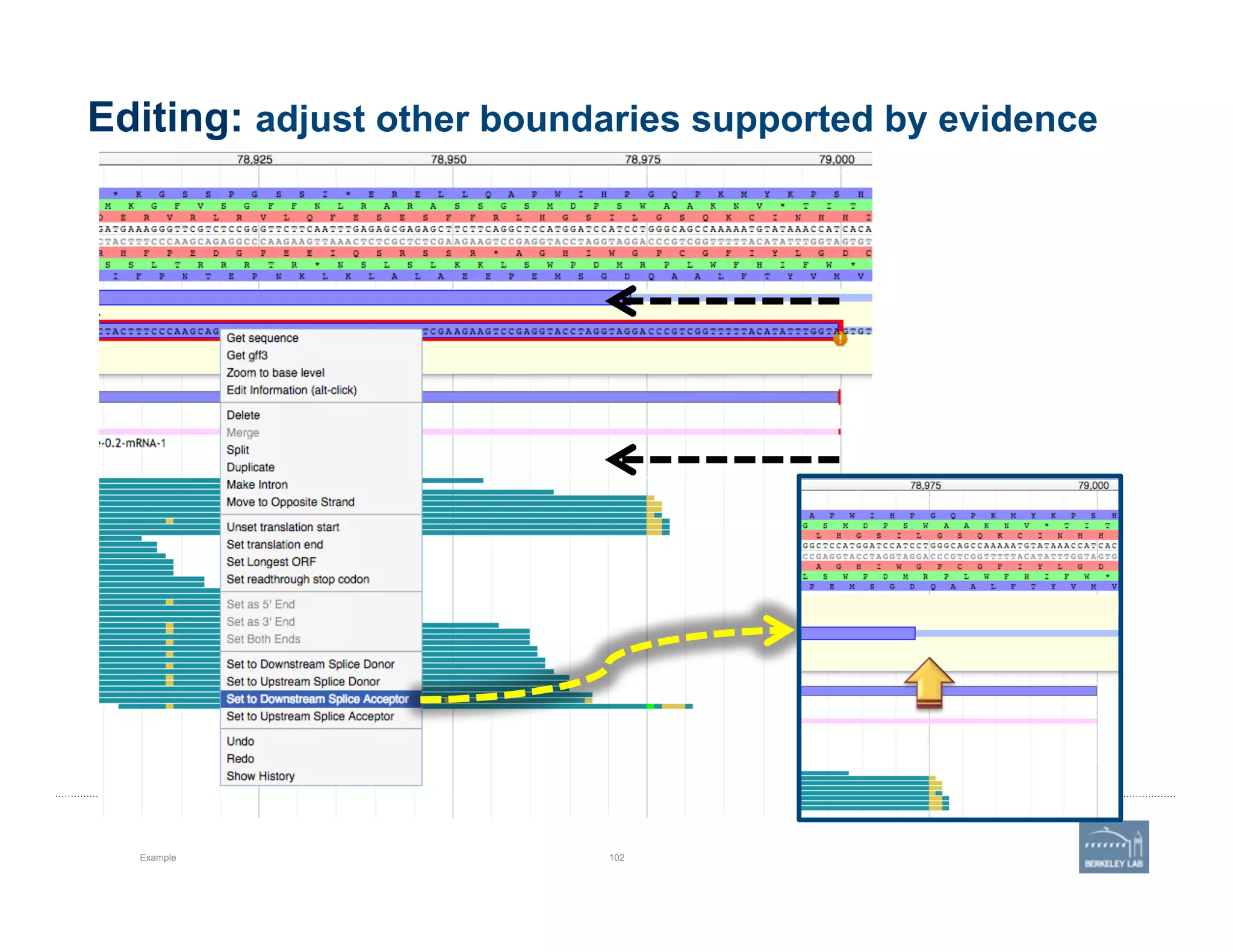 Editing: adjust other boundaries supported by evidence
Example 102
 