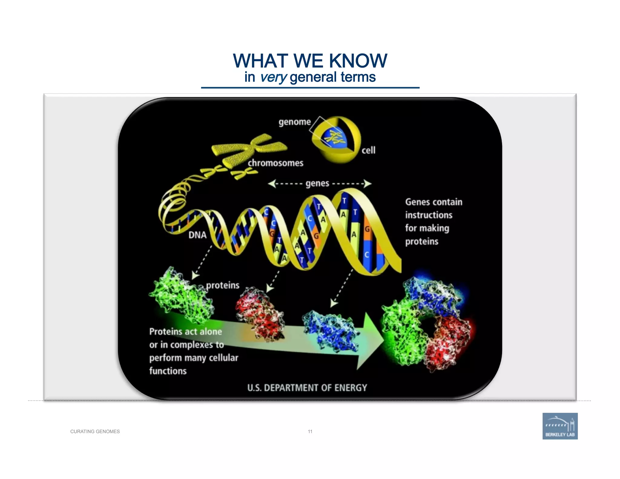 11CURATING GENOMES
WHAT WE KNOW 
in very general terms
 