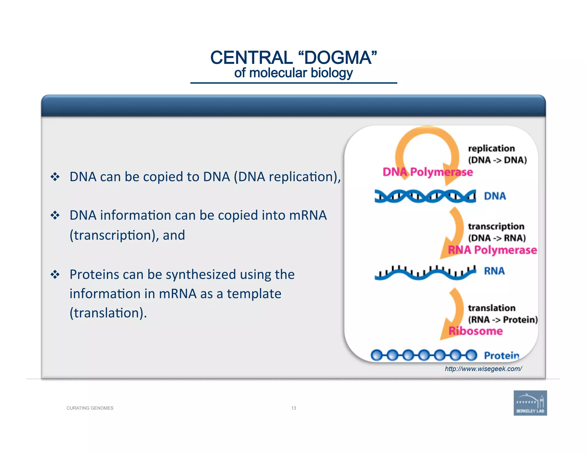 13CURATING GENOMES
CENTRAL “DOGMA” 
of molecular biology
v  DNA	
  can	
  be	
  copied	
  to	
  DNA	
  (DNA	
  replica'on),	
  	
  
v  DNA	
  informa'on	
  can	
  be	
  copied	
  into	
  mRNA	
  
(transcrip'on),	
  and	
  
v  Proteins	
  can	
  be	
  synthesized	
  using	
  the	
  
informa'on	
  in	
  mRNA	
  as	
  a	
  template	
  
(transla'on).	
  
http://www.wisegeek.com/
 