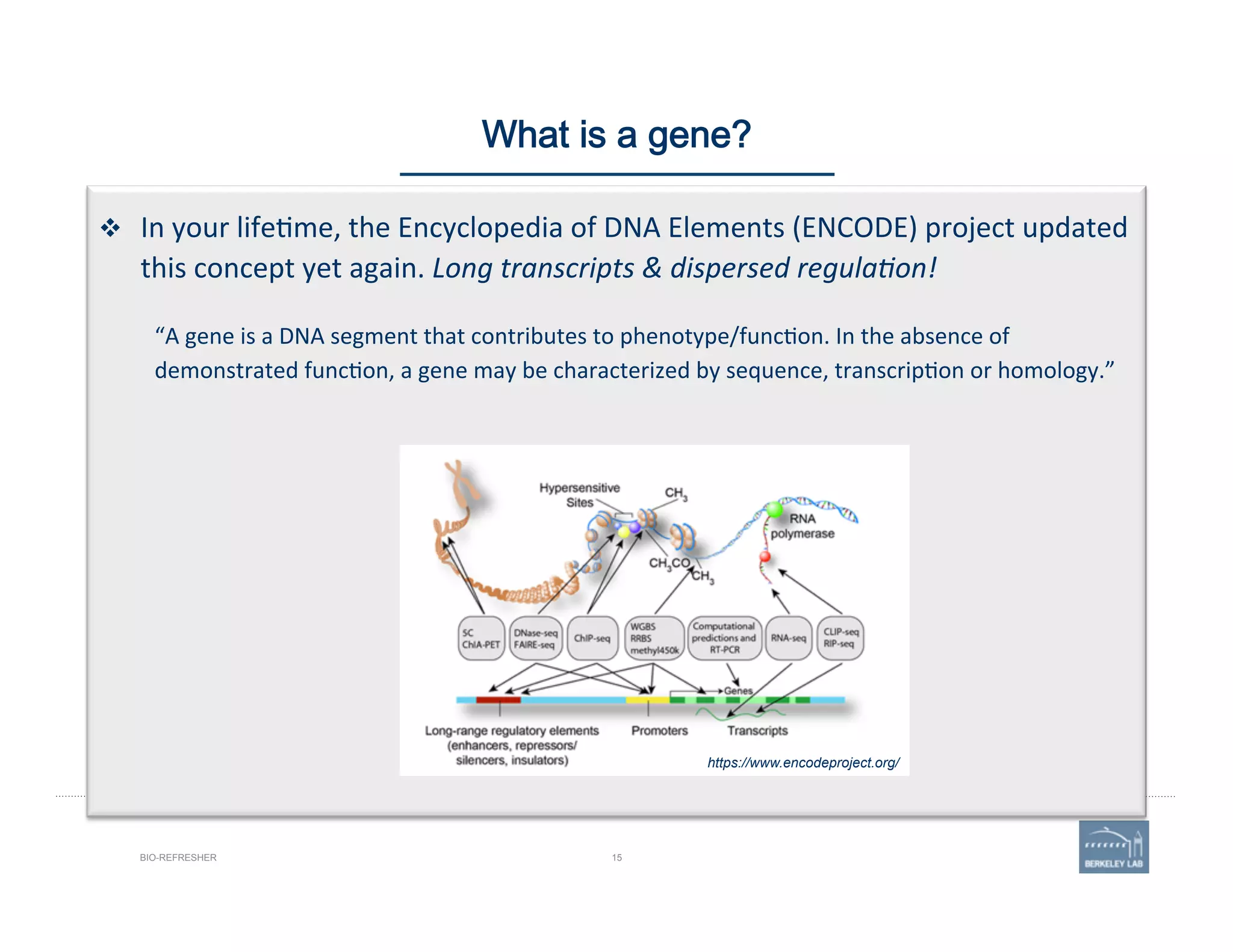 15BIO-REFRESHER
What is a gene?
v  In	
  your	
  life'me,	
  the	
  Encyclopedia	
  of	
  DNA	
  Elements	
  (ENCODE)	
  project	
  updated	
  
this	
  concept	
  yet	
  again.	
  Long	
  transcripts	
  &	
  dispersed	
  regula1on!	
  
	
  
	
  
“A	
  gene	
  is	
  a	
  DNA	
  segment	
  that	
  contributes	
  to	
  phenotype/func'on.	
  In	
  the	
  absence	
  of	
  
demonstrated	
  func'on,	
  a	
  gene	
  may	
  be	
  characterized	
  by	
  sequence,	
  transcrip'on	
  or	
  homology.”	
  
	
  
https://www.encodeproject.org/
 