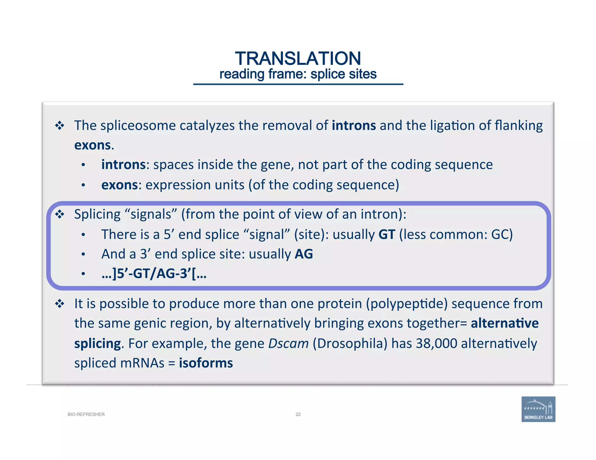 22BIO-REFRESHER
TRANSLATION 
reading frame: splice sites
v  The	
  spliceosome	
  catalyzes	
  the	
  removal	
  of	
  introns	
  and	
  the	
  liga'on	
  of	
  ﬂanking	
  
exons.	
  
•  introns:	
  spaces	
  inside	
  the	
  gene,	
  not	
  part	
  of	
  the	
  coding	
  sequence	
  
•  exons:	
  expression	
  units	
  (of	
  the	
  coding	
  sequence)	
  
v  Splicing	
  “signals”	
  (from	
  the	
  point	
  of	
  view	
  of	
  an	
  intron):	
  	
  
•  There	
  is	
  a	
  5’	
  end	
  splice	
  “signal”	
  (site):	
  usually	
  GT	
  (less	
  common:	
  GC)	
  
•  And	
  a	
  3’	
  end	
  splice	
  site:	
  usually	
  AG	
  
•  …]5’-­‐GT/AG-­‐3’[…	
  
	
  
v  It	
  is	
  possible	
  to	
  produce	
  more	
  than	
  one	
  protein	
  (polypep'de)	
  sequence	
  from	
  
the	
  same	
  genic	
  region,	
  by	
  alterna'vely	
  bringing	
  exons	
  together=	
  alterna=ve	
  
splicing.	
  For	
  example,	
  the	
  gene	
  Dscam	
  (Drosophila)	
  has	
  38,000	
  alterna'vely	
  
spliced	
  mRNAs	
  =	
  isoforms	
  
 