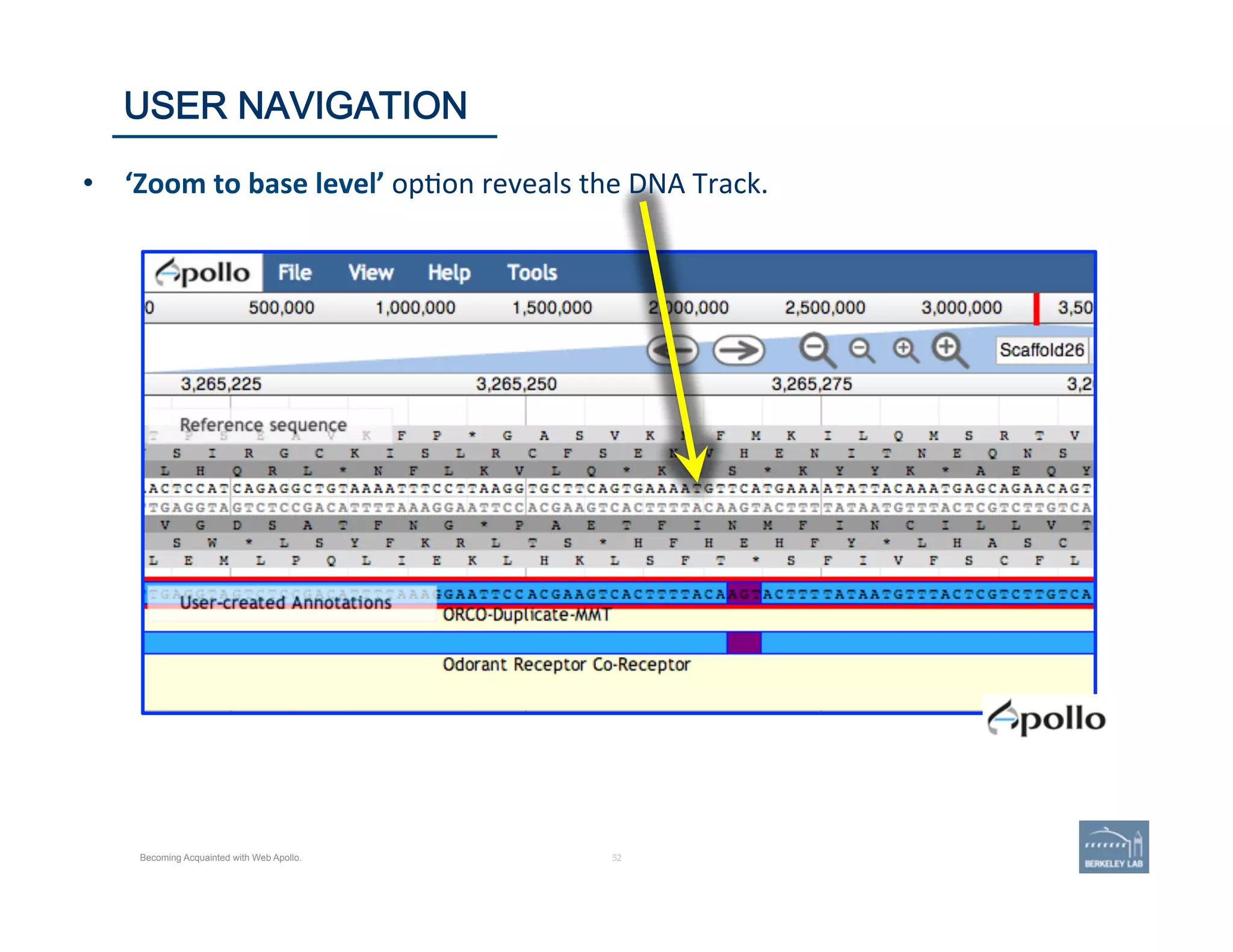 52 | 52	
USER NAVIGATION
Becoming Acquainted with Web Apollo.
•  ‘Zoom	
  to	
  base	
  level’	
  op'on	
  reveals	
  the	
  DNA	
  Track.	
  
 