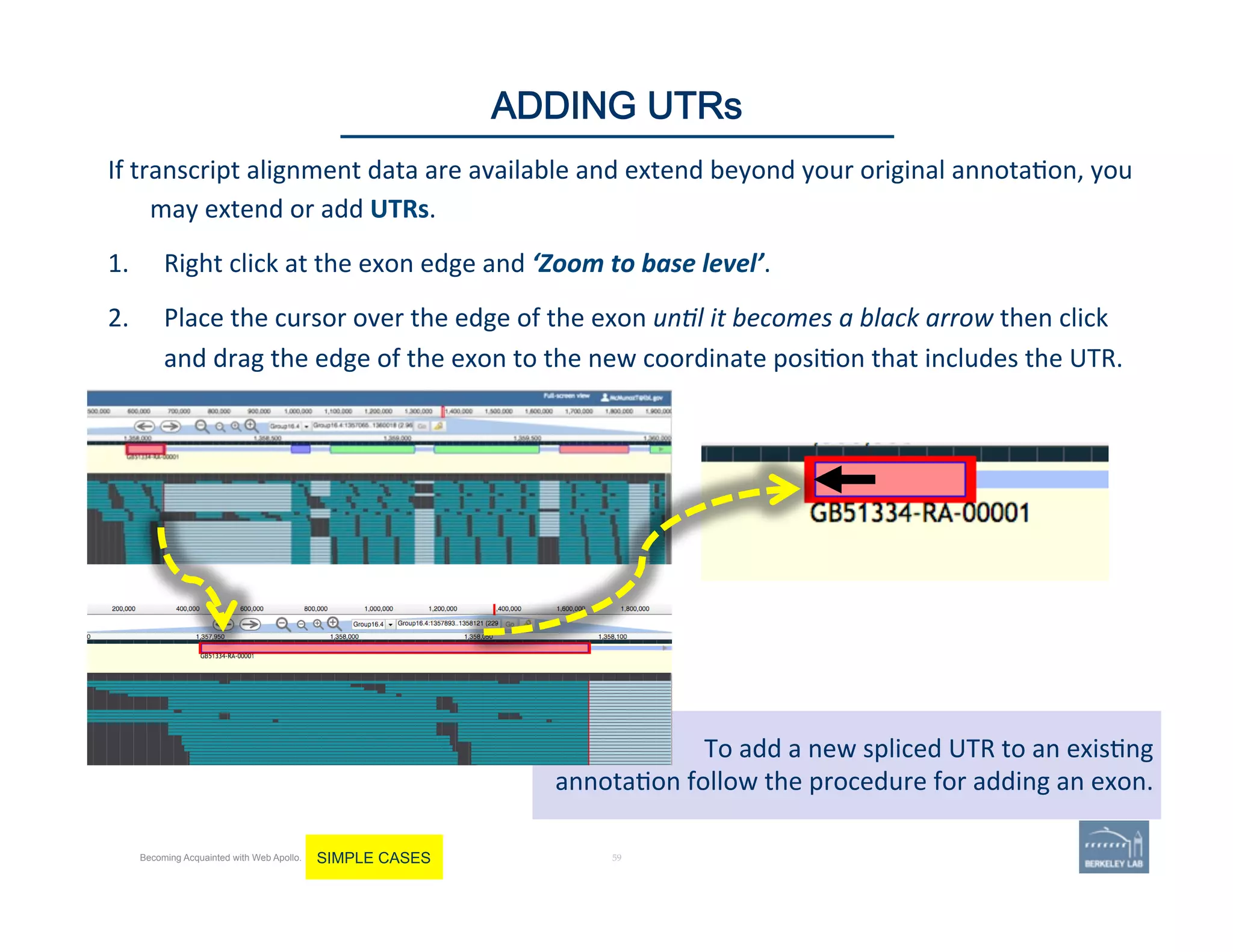 If	
  transcript	
  alignment	
  data	
  are	
  available	
  and	
  extend	
  beyond	
  your	
  original	
  annota'on,	
  you	
  
may	
  extend	
  or	
  add	
  UTRs.	
  	
  
1.  Right	
  click	
  at	
  the	
  exon	
  edge	
  and	
  ‘Zoom	
  to	
  base	
  level’.	
  	
  
2.  Place	
  the	
  cursor	
  over	
  the	
  edge	
  of	
  the	
  exon	
  un1l	
  it	
  becomes	
  a	
  black	
  arrow	
  then	
  click	
  
and	
  drag	
  the	
  edge	
  of	
  the	
  exon	
  to	
  the	
  new	
  coordinate	
  posi'on	
  that	
  includes	
  the	
  UTR.	
  	
  
59 | 59	
ADDING UTRs
Becoming Acquainted with Web Apollo. SIMPLE CASES
To	
  add	
  a	
  new	
  spliced	
  UTR	
  to	
  an	
  exis'ng	
  	
  
annota'on	
  follow	
  the	
  procedure	
  for	
  adding	
  an	
  exon.	
  
 