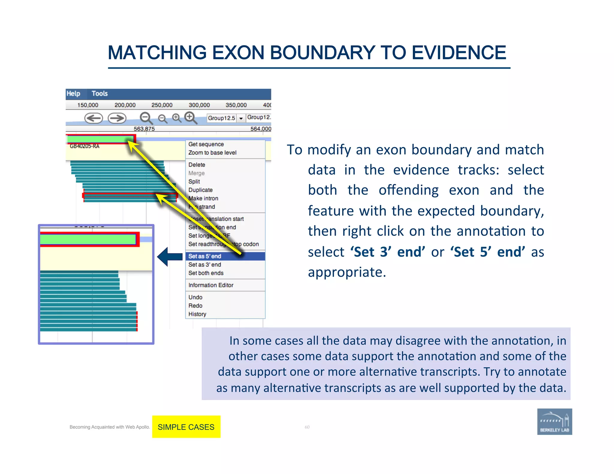 To	
  modify	
  an	
  exon	
  boundary	
  and	
  match	
  
data	
   in	
   the	
   evidence	
   tracks:	
   select	
  
both	
   the	
   oﬀending	
   exon	
   and	
   the	
  
feature	
  with	
  the	
  expected	
  boundary,	
  
then	
  right	
  click	
  on	
  the	
  annota'on	
  to	
  
select	
  ‘Set	
  3’	
  end’	
  or	
  ‘Set	
  5’	
  end’	
  as	
  
appropriate.	
  
	
  
60 |
In	
  some	
  cases	
  all	
  the	
  data	
  may	
  disagree	
  with	
  the	
  annota'on,	
  in	
  
other	
  cases	
  some	
  data	
  support	
  the	
  annota'on	
  and	
  some	
  of	
  the	
  
data	
  support	
  one	
  or	
  more	
  alterna've	
  transcripts.	
  Try	
  to	
  annotate	
  
as	
  many	
  alterna've	
  transcripts	
  as	
  are	
  well	
  supported	
  by	
  the	
  data.	
  
60	
MATCHING EXON BOUNDARY TO EVIDENCE
Becoming Acquainted with Web Apollo. SIMPLE CASES
 