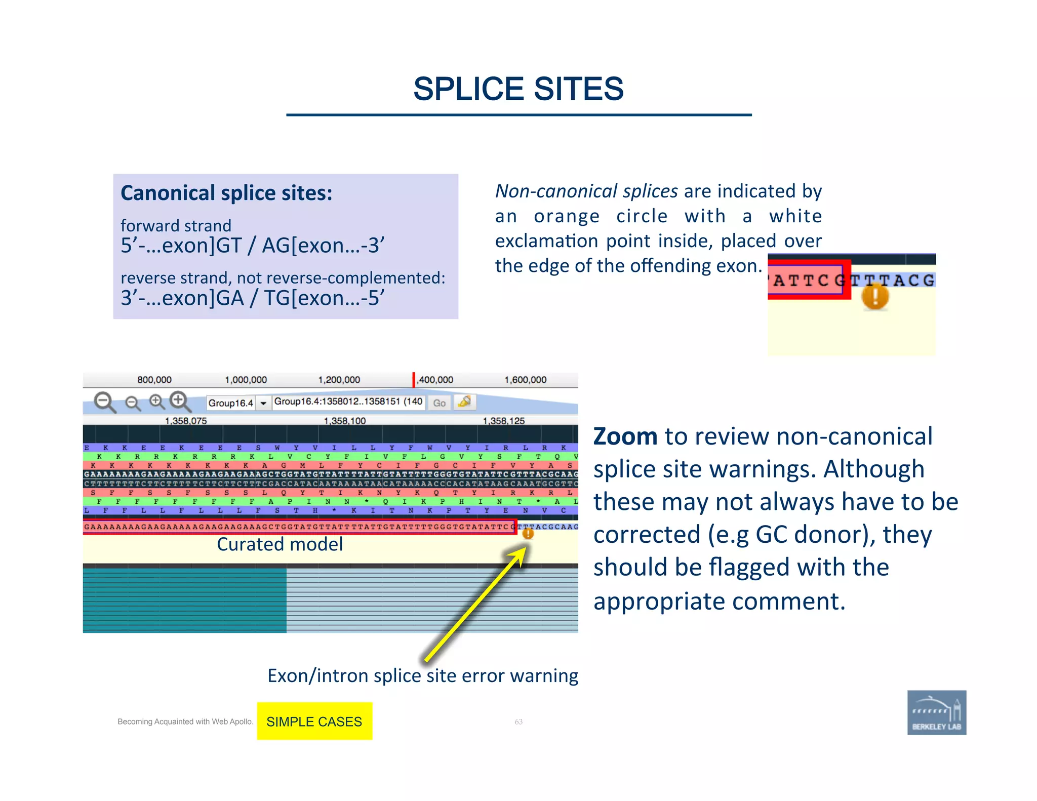 63 |
Non-­‐canonical	
  splices	
  are	
  indicated	
  by	
  
an	
   orange	
   circle	
   with	
   a	
   white	
  
exclama'on	
  point	
  inside,	
  placed	
  over	
  
the	
  edge	
  of	
  the	
  oﬀending	
  exon.	
  	
  
Canonical	
  splice	
  sites:	
  
3’-­‐…exon]GA	
  /	
  TG[exon…-­‐5’	
  
5’-­‐…exon]GT	
  /	
  AG[exon…-­‐3’	
  
reverse	
  strand,	
  not	
  reverse-­‐complemented:	
  
forward	
  strand	
  
63	
SPLICE SITES
Becoming Acquainted with Web Apollo. SIMPLE CASES
Zoom	
  to	
  review	
  non-­‐canonical	
  
splice	
  site	
  warnings.	
  Although	
  
these	
  may	
  not	
  always	
  have	
  to	
  be	
  
corrected	
  (e.g	
  GC	
  donor),	
  they	
  
should	
  be	
  ﬂagged	
  with	
  the	
  
appropriate	
  comment.	
  	
  
Exon/intron	
  splice	
  site	
  error	
  warning	
  
Curated	
  model	
  
 