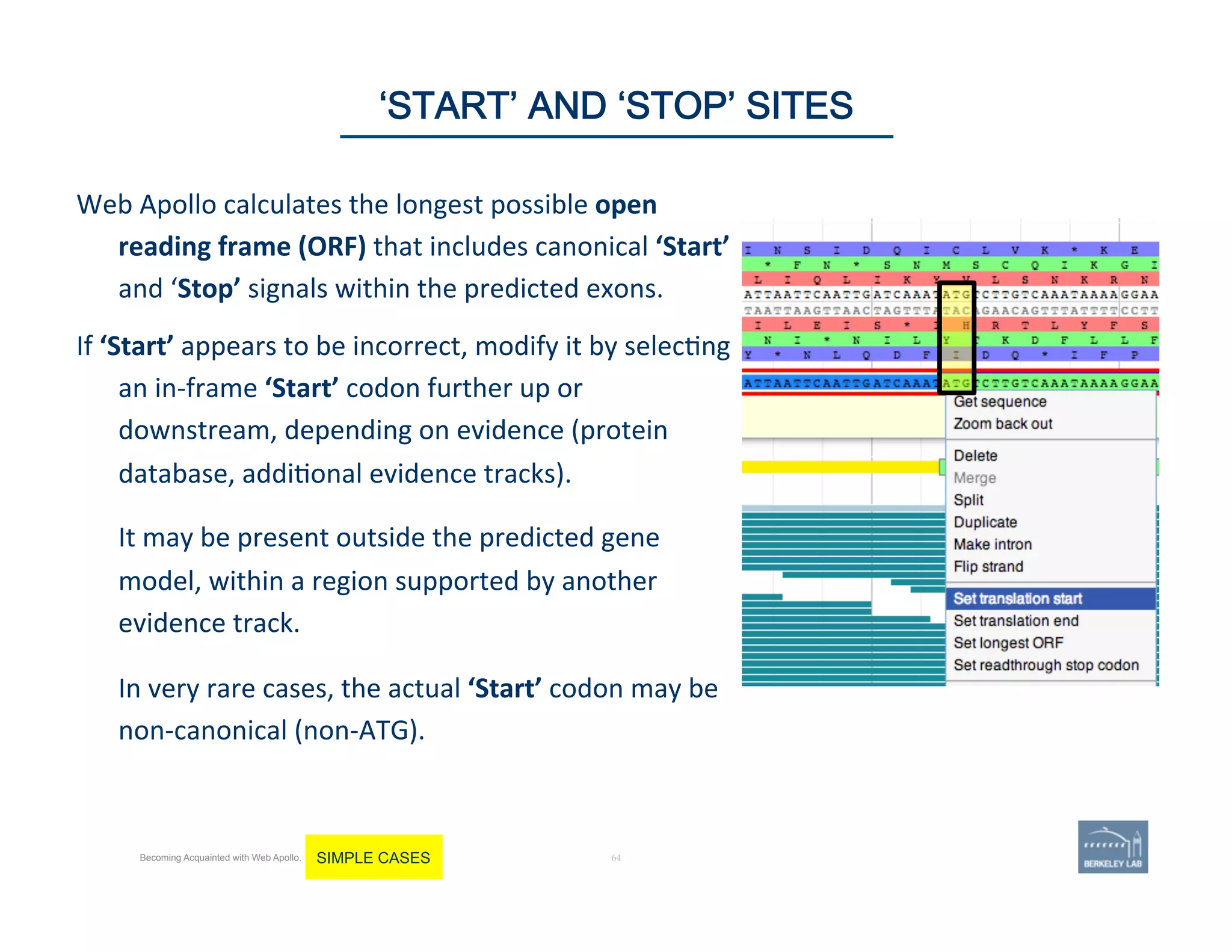 Web	
  Apollo	
  calculates	
  the	
  longest	
  possible	
  open	
  
reading	
  frame	
  (ORF)	
  that	
  includes	
  canonical	
  ‘Start’	
  
and	
  ‘Stop’	
  signals	
  within	
  the	
  predicted	
  exons.	
  	
  
If	
  ‘Start’	
  appears	
  to	
  be	
  incorrect,	
  modify	
  it	
  by	
  selec'ng	
  
an	
  in-­‐frame	
  ‘Start’	
  codon	
  further	
  up	
  or	
  
downstream,	
  depending	
  on	
  evidence	
  (protein	
  
database,	
  addi'onal	
  evidence	
  tracks).	
  	
  
	
  
It	
  may	
  be	
  present	
  outside	
  the	
  predicted	
  gene	
  
model,	
  within	
  a	
  region	
  supported	
  by	
  another	
  
evidence	
  track.	
  
	
  
In	
  very	
  rare	
  cases,	
  the	
  actual	
  ‘Start’	
  codon	
  may	
  be	
  
non-­‐canonical	
  (non-­‐ATG).	
  	
  
64 | 64	
‘START’ AND ‘STOP’ SITES
Becoming Acquainted with Web Apollo. SIMPLE CASES
 