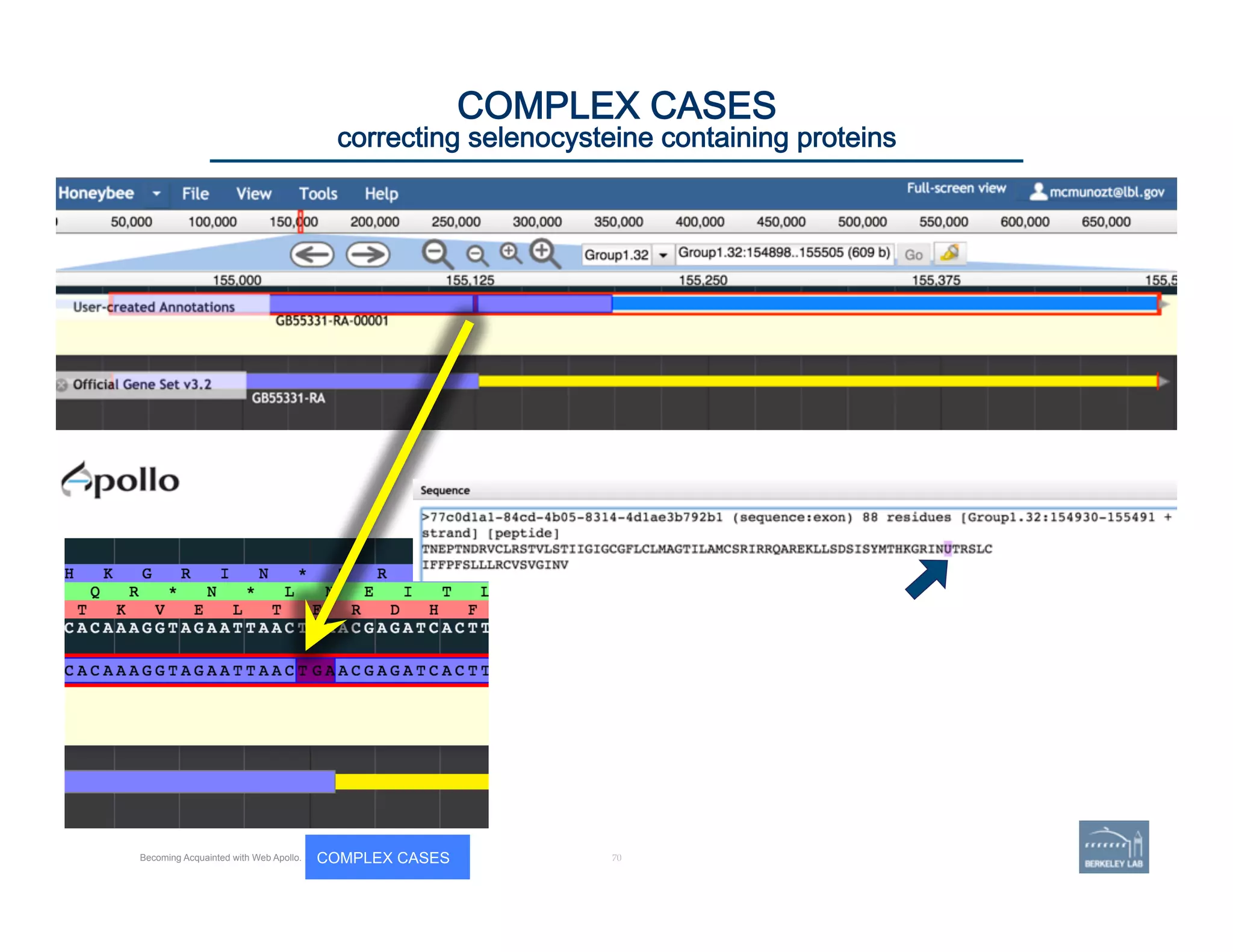 70	
COMPLEX CASES
correcting selenocysteine containing proteins
Becoming Acquainted with Web Apollo. COMPLEX CASES
 