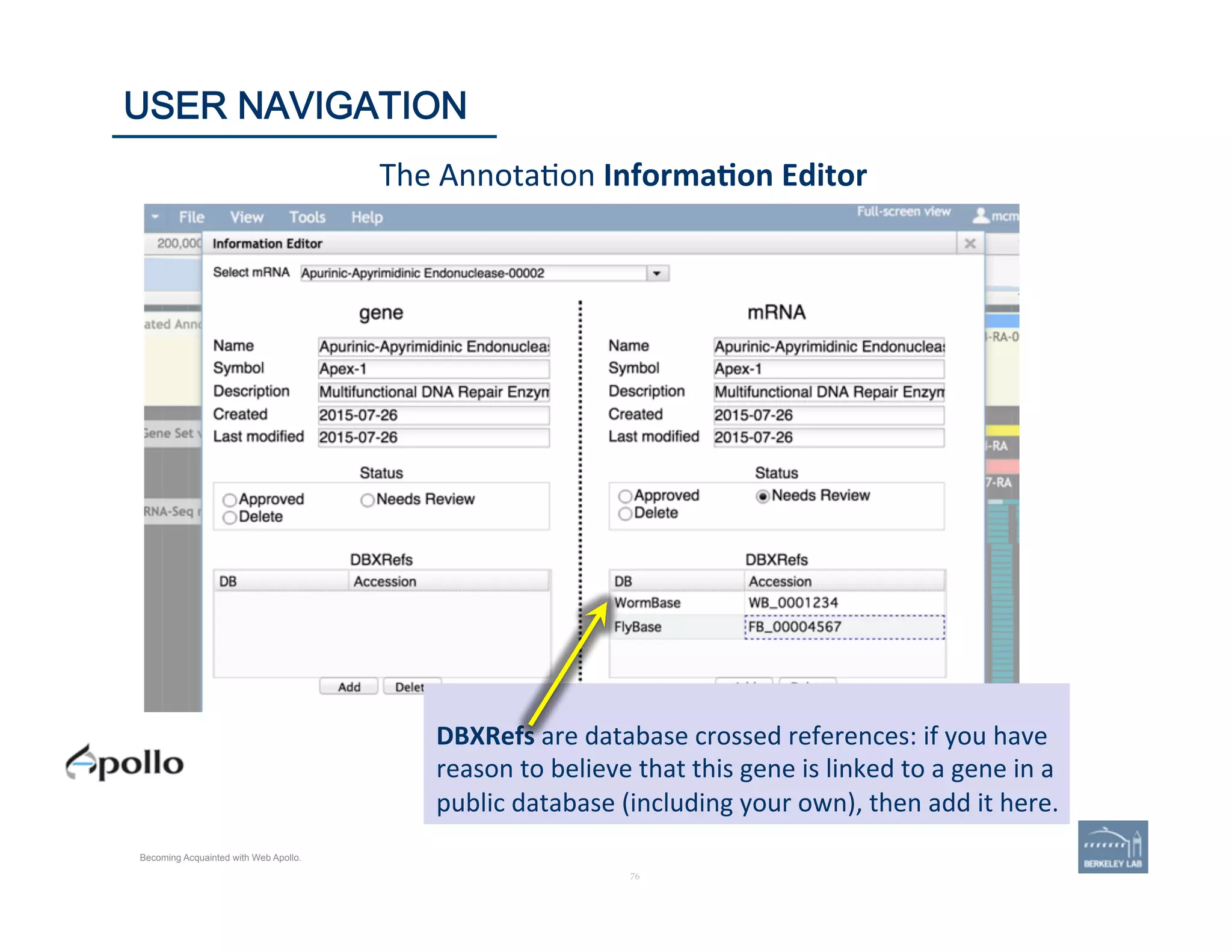 76	
The	
  Annota'on	
  Informa=on	
  Editor	
  
76	
USER NAVIGATION
Becoming Acquainted with Web Apollo.
DBXRefs	
  are	
  database	
  crossed	
  references:	
  if	
  you	
  have	
  
reason	
  to	
  believe	
  that	
  this	
  gene	
  is	
  linked	
  to	
  a	
  gene	
  in	
  a	
  
public	
  database	
  (including	
  your	
  own),	
  then	
  add	
  it	
  here.	
  
 