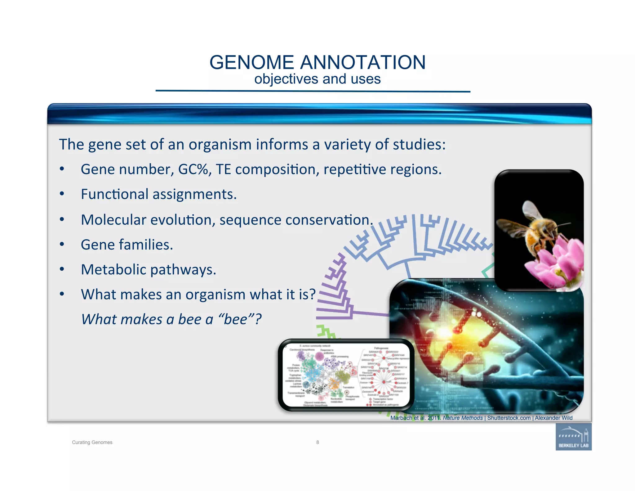GENOME ANNOTATION 
objectives and uses
Curating Genomes 8
The	
  gene	
  set	
  of	
  an	
  organism	
  informs	
  a	
  variety	
  of	
  studies:	
  
•  Gene	
  number,	
  GC%,	
  TE	
  composi'on,	
  repe''ve	
  regions.	
  
•  Func'onal	
  assignments.	
  
•  Molecular	
  evolu'on,	
  sequence	
  conserva'on.	
  
•  Gene	
  families.	
  
•  Metabolic	
  pathways.	
  
•  What	
  makes	
  an	
  organism	
  what	
  it	
  is?	
  	
  
What	
  makes	
  a	
  bee	
  a	
  “bee”?	
  
Marbach et al. 2011. Nature Methods | Shutterstock.com | Alexander Wild
 