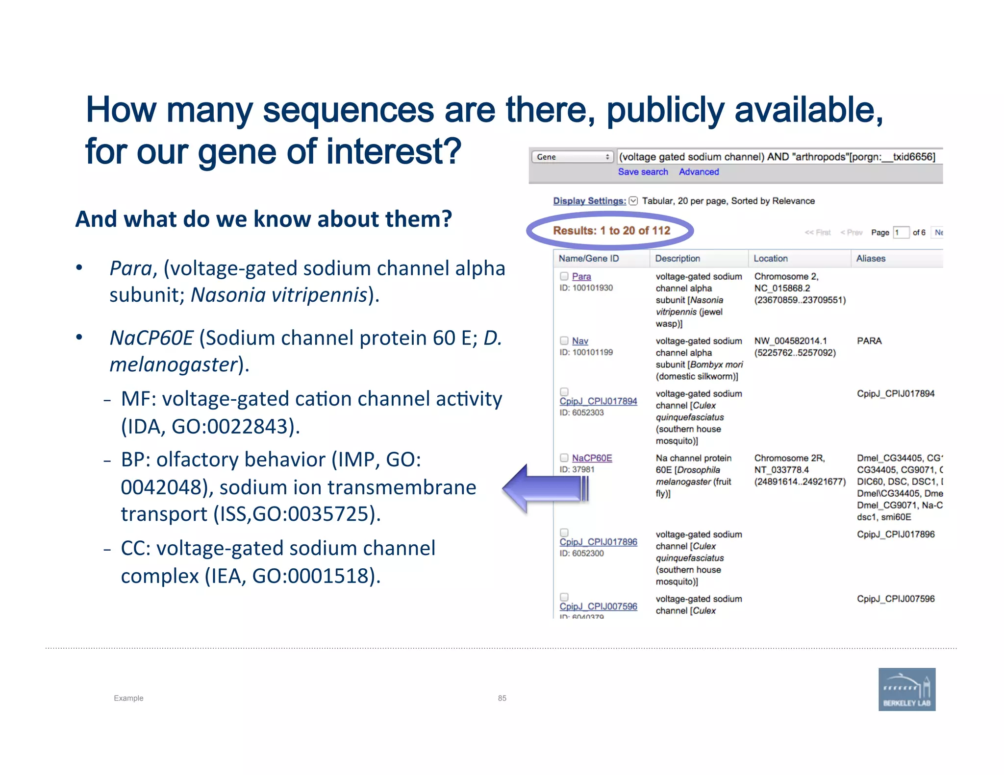 How many sequences are there, publicly available,
for our gene of interest?
Example 85
•  Para,	
  (voltage-­‐gated	
  sodium	
  channel	
  alpha	
  
subunit;	
  Nasonia	
  vitripennis).	
  	
  
•  NaCP60E	
  (Sodium	
  channel	
  protein	
  60	
  E;	
  D.	
  
melanogaster).	
  
–  MF:	
  voltage-­‐gated	
  ca'on	
  channel	
  ac'vity	
  
(IDA,	
  GO:0022843).	
  
–  BP:	
  olfactory	
  behavior	
  (IMP,	
  GO:
0042048),	
  sodium	
  ion	
  transmembrane	
  
transport	
  (ISS,GO:0035725).	
  
–  CC:	
  voltage-­‐gated	
  sodium	
  channel	
  
complex	
  (IEA,	
  GO:0001518).	
  
And	
  what	
  do	
  we	
  know	
  about	
  them?	
  
 
