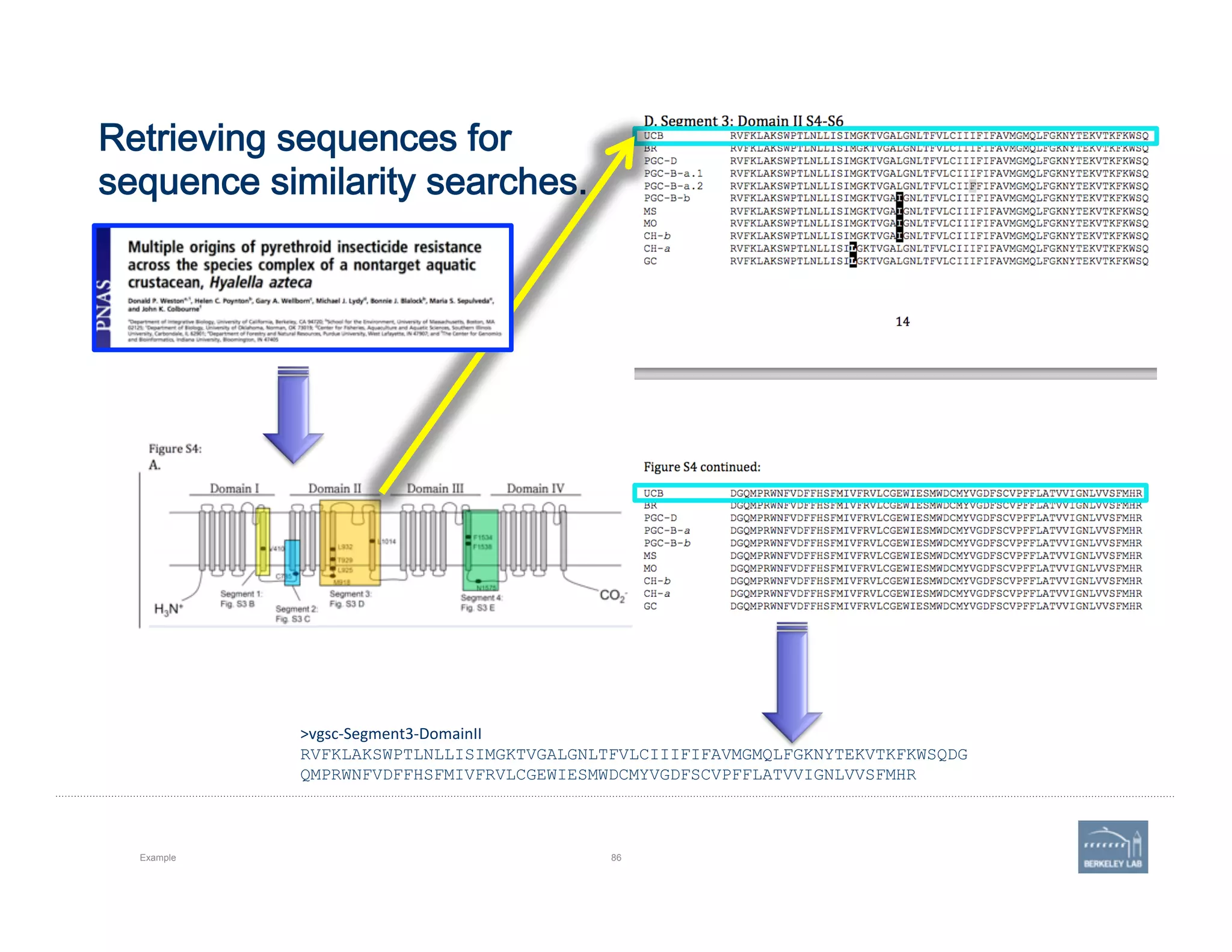 Retrieving sequences for  
sequence similarity searches.
Example 86
>vgsc-­‐Segment3-­‐DomainII	
  
RVFKLAKSWPTLNLLISIMGKTVGALGNLTFVLCIIIFIFAVMGMQLFGKNYTEKVTKFKWSQDG
QMPRWNFVDFFHSFMIVFRVLCGEWIESMWDCMYVGDFSCVPFFLATVVIGNLVVSFMHR
 