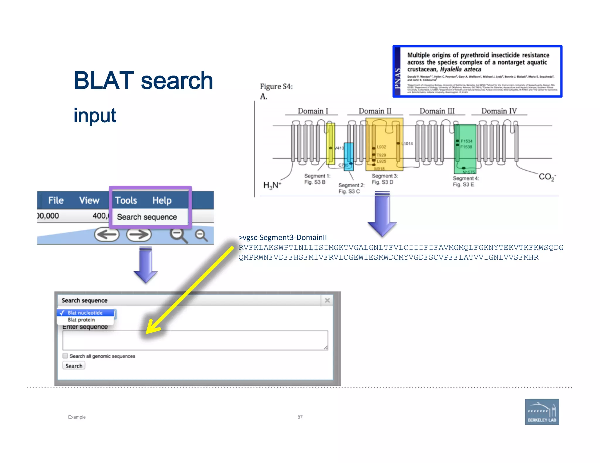 BLAT search 
 
input
Example 87
>vgsc-­‐Segment3-­‐DomainII	
  
RVFKLAKSWPTLNLLISIMGKTVGALGNLTFVLCIIIFIFAVMGMQLFGKNYTEKVTKFKWSQDG
QMPRWNFVDFFHSFMIVFRVLCGEWIESMWDCMYVGDFSCVPFFLATVVIGNLVVSFMHR
 